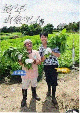 青春有你